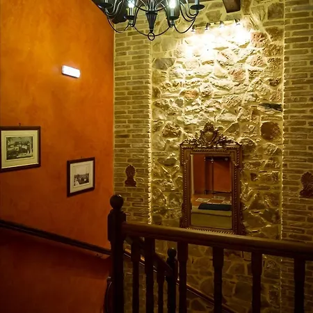 Acronafplia A نافبليو